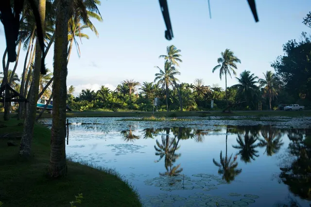 Fiji — photograph 11