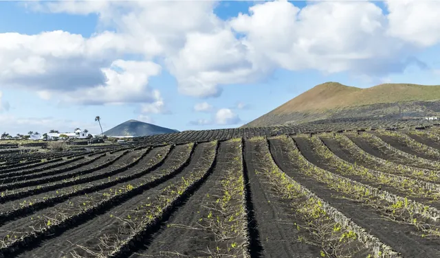 Lanzarote — photograph 2