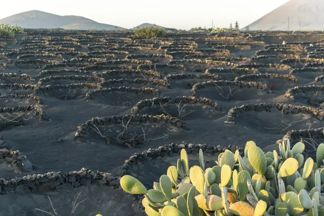 Lanzarote — photograph 13