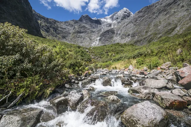 New Zealand — photograph 6