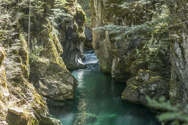 New Zealand — photograph 14