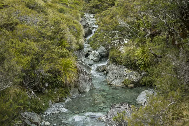 New Zealand — photograph 15
