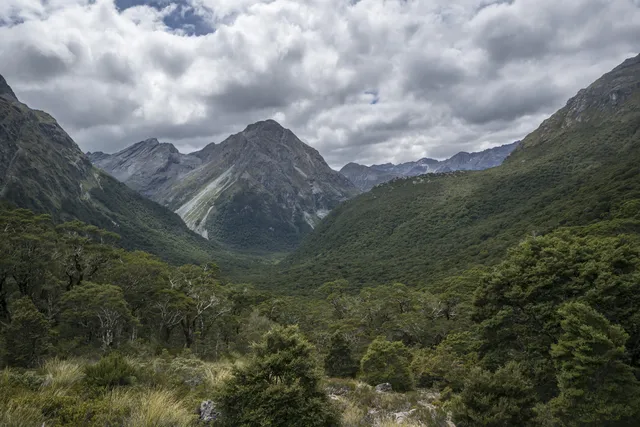 New Zealand — photograph 16