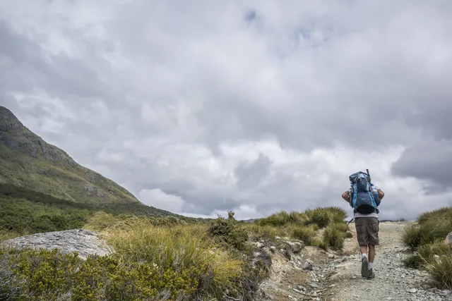 New Zealand — photograph 17