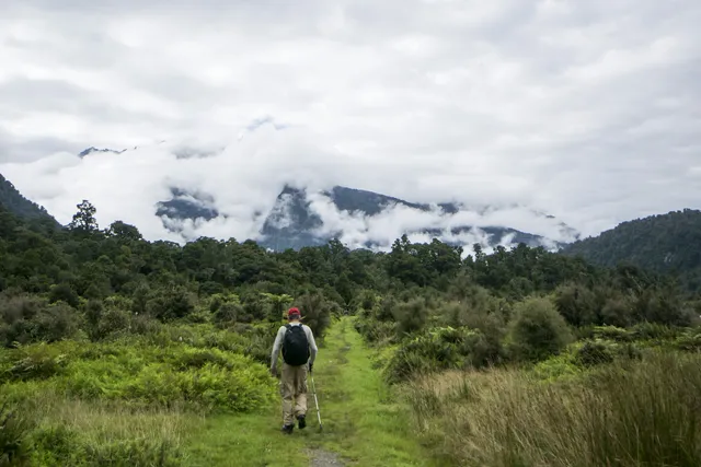 New Zealand — photograph 18
