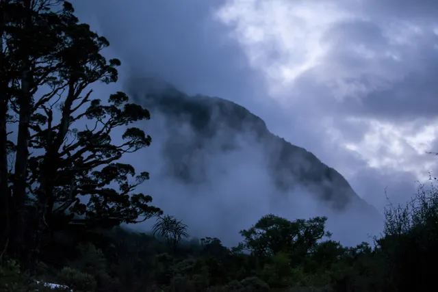 New Zealand — photograph 19