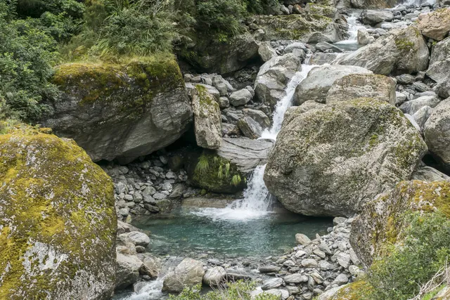 New Zealand — photograph 21