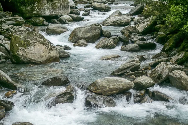 New Zealand — photograph 22
