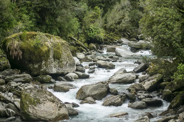 New Zealand — photograph 24