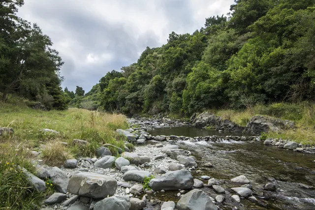 New Zealand — photograph 28