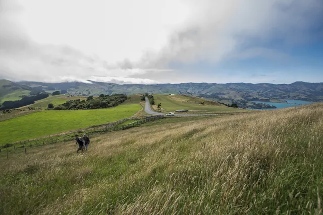 New Zealand — photograph 30