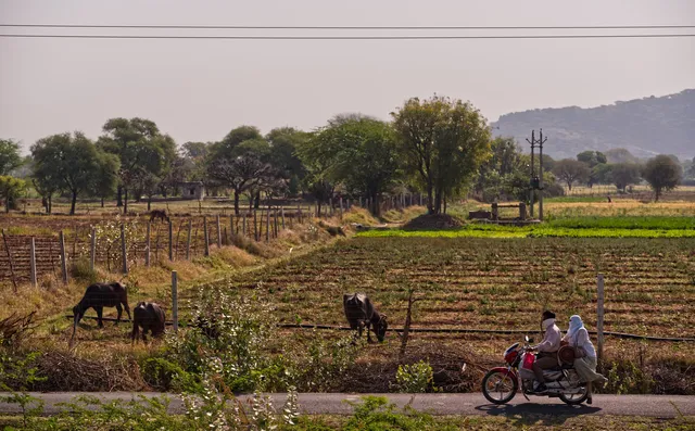 Rajasthan — photograph 24