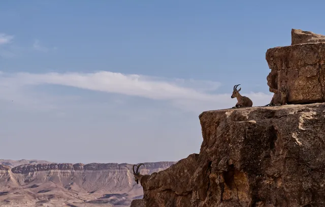 Mitzpe Ramon, Timna Park — photograph 2